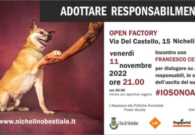 Venerdì 12 a Nichelino per parlare di adozioni responsabili con Francesco Cerquetti